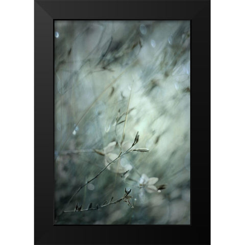 Subtlety Black Modern Wood Framed Art Print by Devos, Delphine