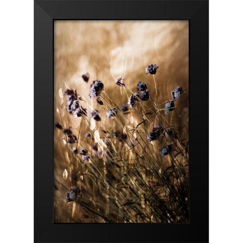 To Be Free In Light Black Modern Wood Framed Art Print by Devos, Delphine