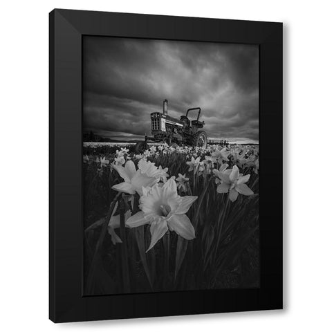 Tractor In Daffodils Black Modern Wood Framed Art Print with Double Matting by Jacobs, Lydia