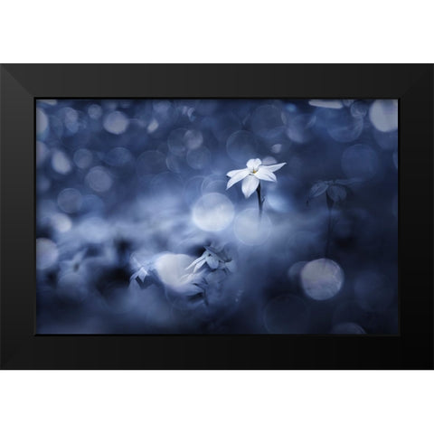 Sparkling Background Black Modern Wood Framed Art Print by Suzuki, Takashi