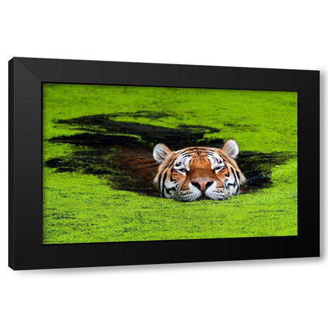 Untitled Black Modern Wood Framed Art Print by Keller