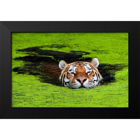 Untitled Black Modern Wood Framed Art Print by Keller