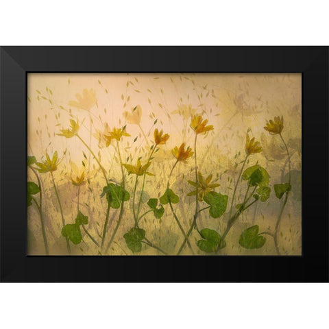 Sunny Flowers Black Modern Wood Framed Art Print by Talen, Nel