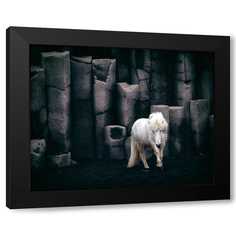 Icelandic Horse Black Modern Wood Framed Art Print with Double Matting by Kort, Bragi