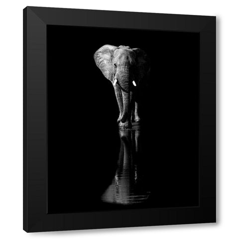 Elephant Black Modern Wood Framed Art Print with Double Matting by Fischer, Jie