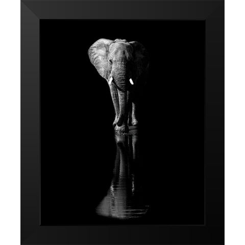 Elephant Black Modern Wood Framed Art Print by Fischer, Jie