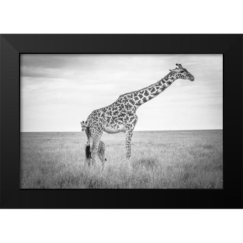 Innocence Black Modern Wood Framed Art Print by C. Sink, Jeffrey