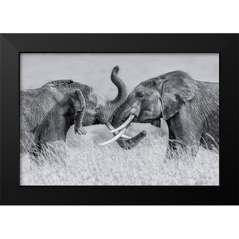 Elephant Qtai Chiq Black Modern Wood Framed Art Print by Zuo, Jun