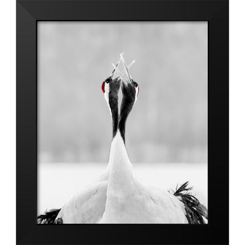 Sing For Morning Black Modern Wood Framed Art Print by Fischer, Jie
