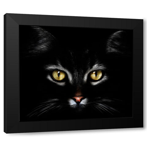 Untitled Black Modern Wood Framed Art Print with Double Matting by Grambone, Antonio