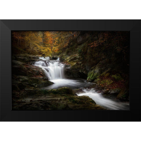 Irati Jungle Black Modern Wood Framed Art Print by Osuna, Fran