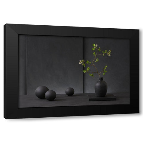 Prunus Domestica Black Modern Wood Framed Art Print with Double Matting by Verot, Christophe
