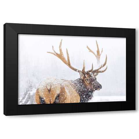 Winter Black Modern Wood Framed Art Print with Double Matting by Liu, Richard