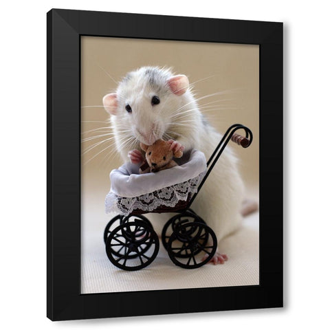 My Teddybear Black Modern Wood Framed Art Print with Double Matting by van Deelen, Ellen