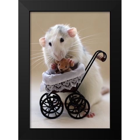 My Teddybear Black Modern Wood Framed Art Print by van Deelen, Ellen