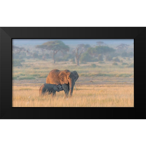 Milking Under Sunrise Black Modern Wood Framed Art Print by Wang, Yun