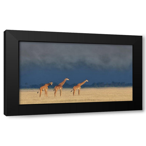 Raining And Sunset Black Modern Wood Framed Art Print by Wang, Yun