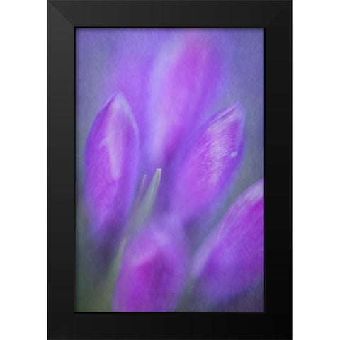 Crocouse Bouquet Black Modern Wood Framed Art Print by Riml, Ludwig