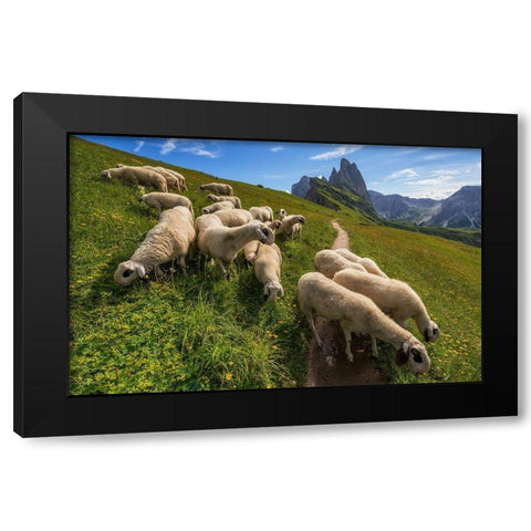 On The Way To Odle Mountains Black Modern Wood Framed Art Print by Krivec, Ales