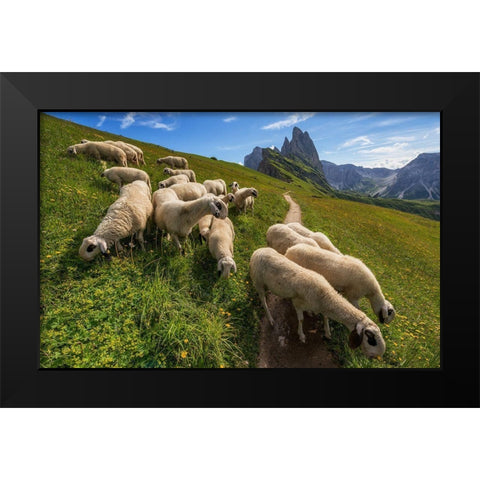 On The Way To Odle Mountains Black Modern Wood Framed Art Print by Krivec, Ales