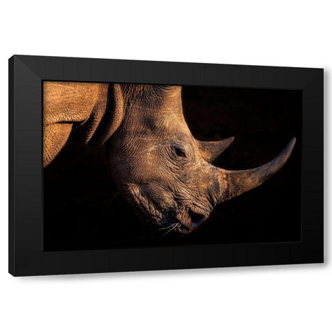 Rhinoceros Black Modern Wood Framed Art Print with Double Matting by Fischer, Jie