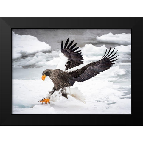 Still Want To Run? Black Modern Wood Framed Art Print by Wong, Fion