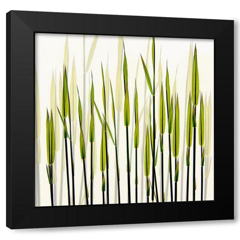 A New Beginning Black Modern Wood Framed Art Print by Talen, Nel
