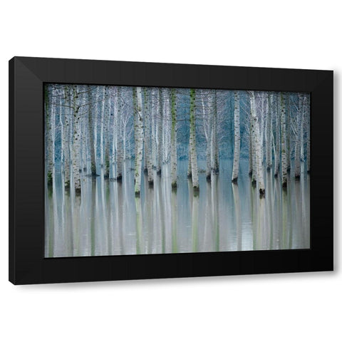 Enchanted Forest Black Modern Wood Framed Art Print by Butnaru, Ralu