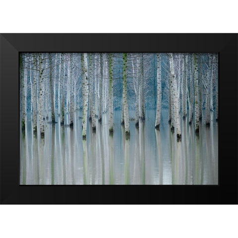 Enchanted Forest Black Modern Wood Framed Art Print by Butnaru, Ralu