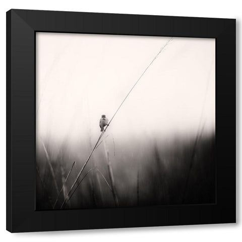 Monsoon Melodies Black Modern Wood Framed Art Print with Double Matting by Swapnil