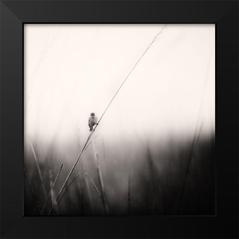 Monsoon Melodies Black Modern Wood Framed Art Print by Swapnil