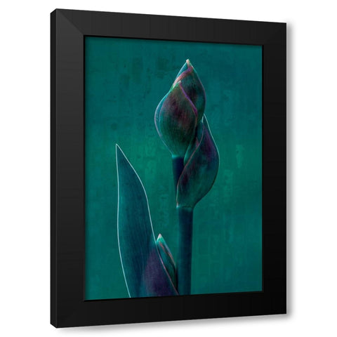 Blue Charade. Black Modern Wood Framed Art Print with Double Matting by Hamilton, Chris