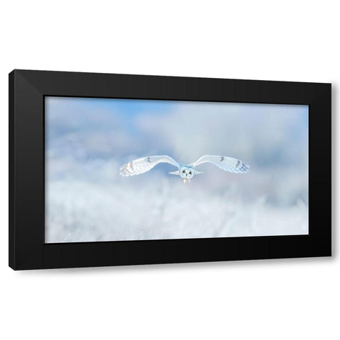 Winter-Winter-Winter,Wonderland Black Modern Wood Framed Art Print by Wong, Fion