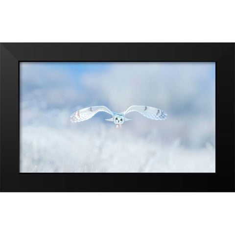 Winter-Winter-Winter,Wonderland Black Modern Wood Framed Art Print by Wong, Fion