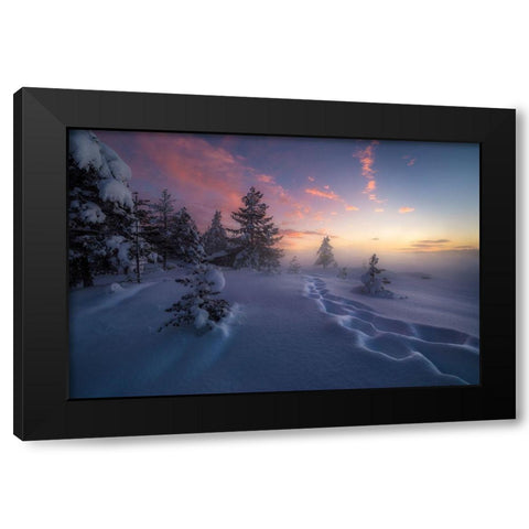 Winter Steps Black Modern Wood Framed Art Print with Double Matting by Henrik Skjelstad, Ole