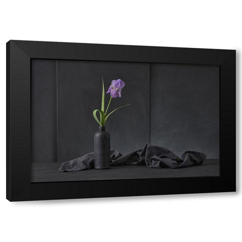 Iris Pallida Black Modern Wood Framed Art Print with Double Matting by Verot, Christophe