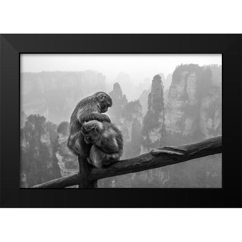 Look For Fleas Black Modern Wood Framed Art Print by Song, Gunarto