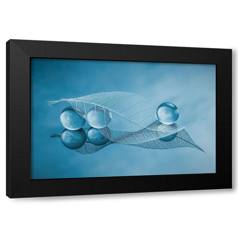 Dry Leaf And Bubbles Black Modern Wood Framed Art Print with Double Matting by Jacobs, Lydia