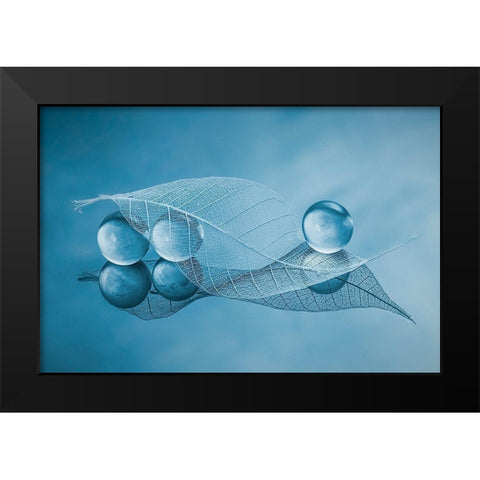 Dry Leaf And Bubbles Black Modern Wood Framed Art Print by Jacobs, Lydia