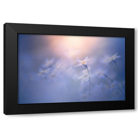 In The Pale Light Black Modern Wood Framed Art Print with Double Matting by Suzuki, Takashi