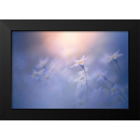 In The Pale Light Black Modern Wood Framed Art Print by Suzuki, Takashi