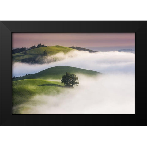 Green Hills Black Modern Wood Framed Art Print by Jochen, Burger