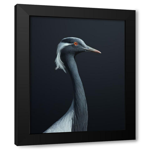 La Demoiselle Black Modern Wood Framed Art Print with Double Matting by Fegari