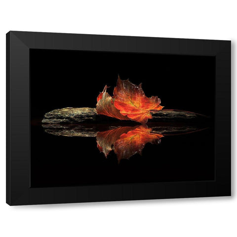 Autumn Colors Black Modern Wood Framed Art Print by Ianeva, Aida