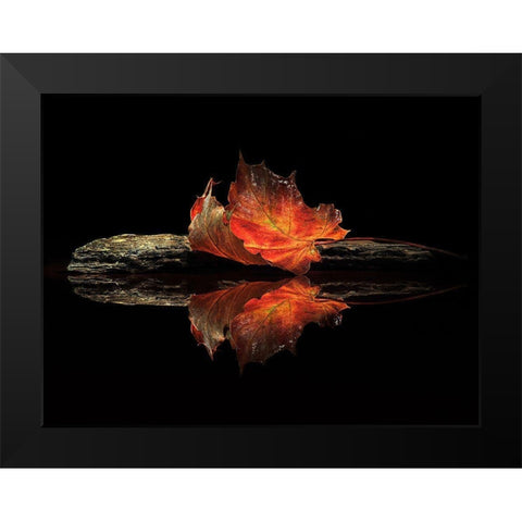 Autumn Colors Black Modern Wood Framed Art Print by Ianeva, Aida