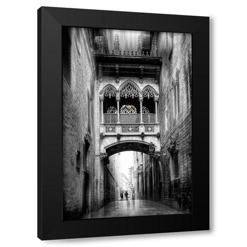 Bishopaas Bridge (Barcelona Series) Black Modern Wood Framed Art Print by Punyet Miro, Carles