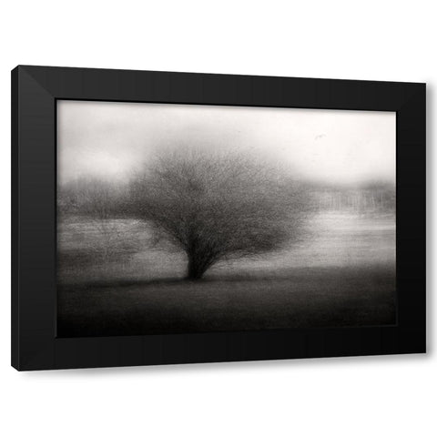 On The Meadow Black Modern Wood Framed Art Print with Double Matting by Holmstrom, Katarina