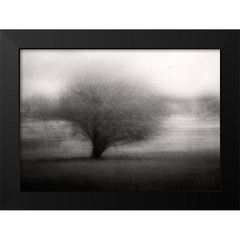 On The Meadow Black Modern Wood Framed Art Print by Holmstrom, Katarina