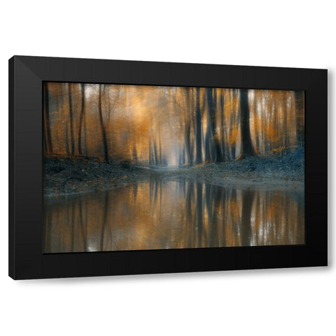 The Woods Black Modern Wood Framed Art Print with Double Matting by Z, Bingo