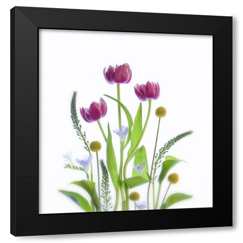 Together Black Modern Wood Framed Art Print with Double Matting by W., Catherine